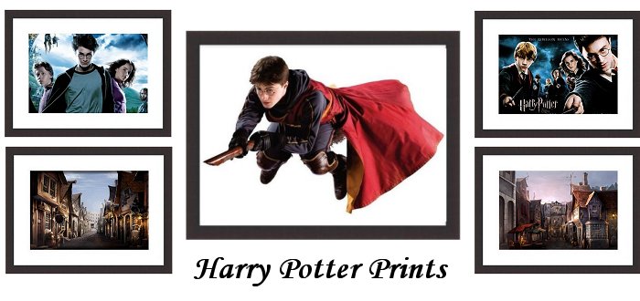 Harry Potter Framed Prints